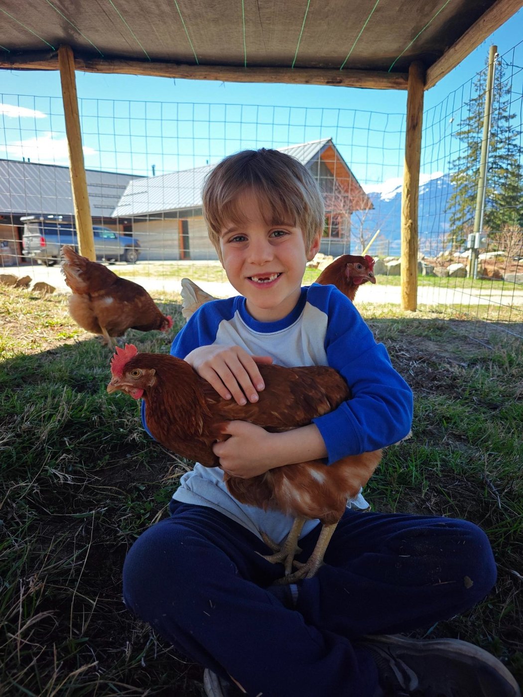 Octavian, the younger brother, sitting cross-legged in the run with a hen on his lap and another wandering behind him.