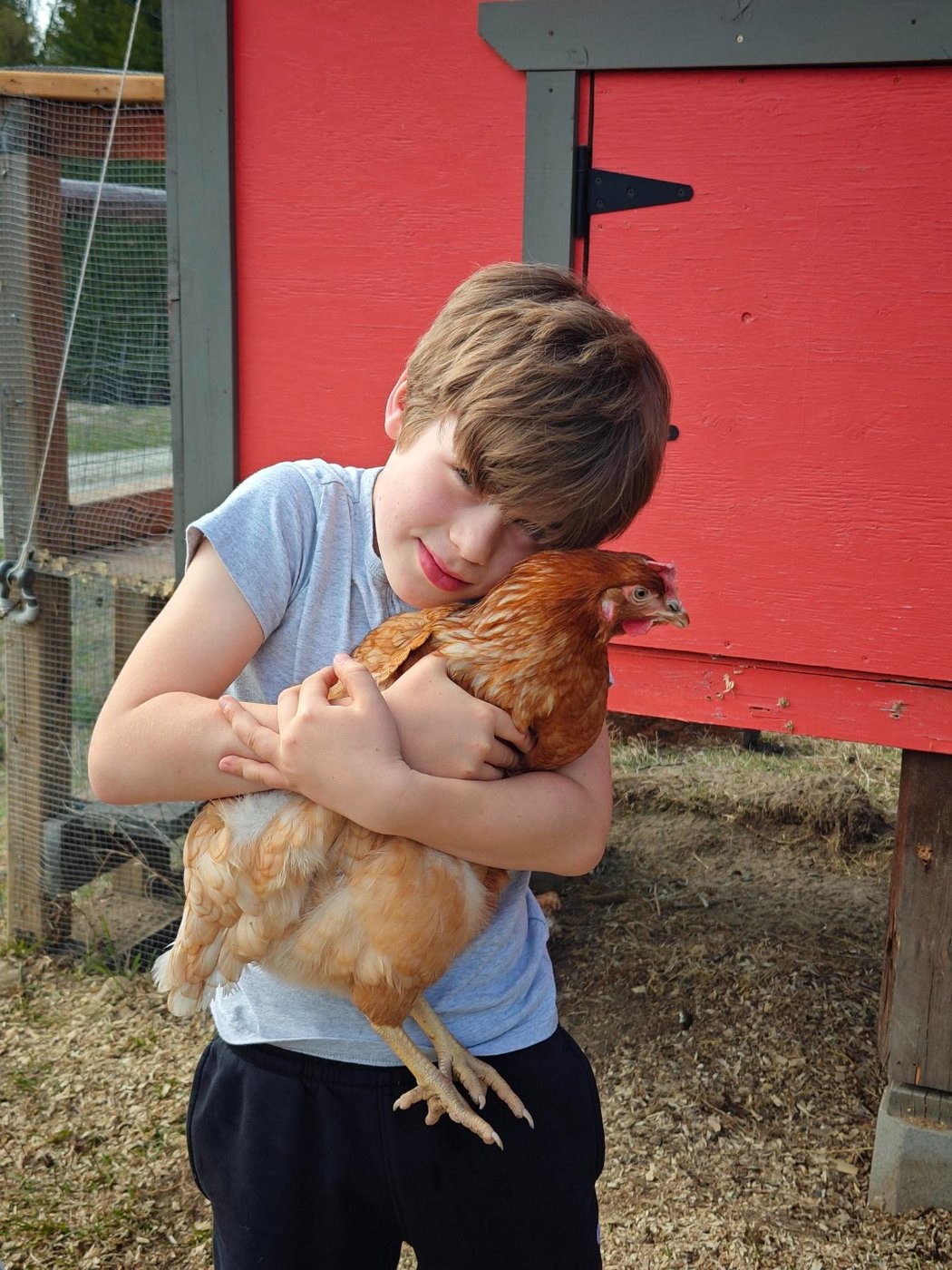 Trajan, the elder brother, smiling and gently cradling a red hen in front of the red coop.